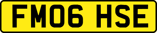 FM06HSE