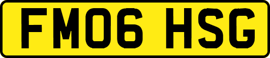 FM06HSG