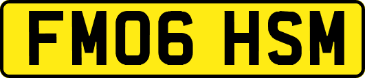 FM06HSM