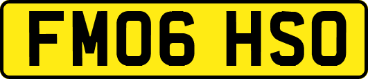 FM06HSO