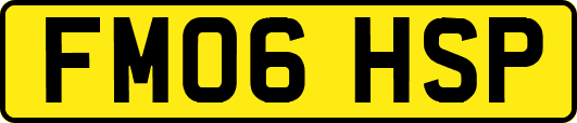 FM06HSP