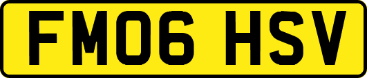 FM06HSV