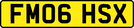 FM06HSX
