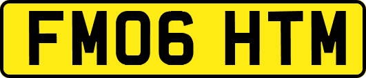FM06HTM