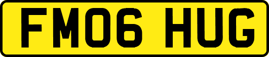 FM06HUG