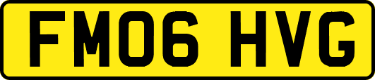 FM06HVG