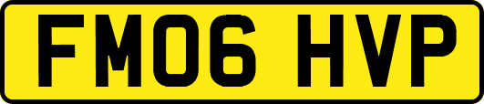 FM06HVP