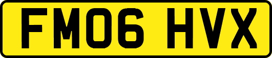 FM06HVX