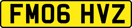 FM06HVZ