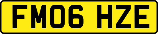 FM06HZE
