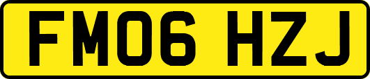 FM06HZJ