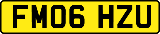 FM06HZU