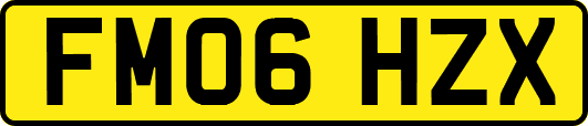 FM06HZX