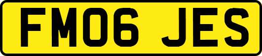 FM06JES