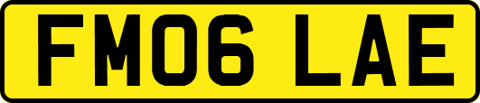 FM06LAE