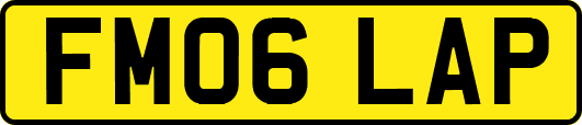 FM06LAP