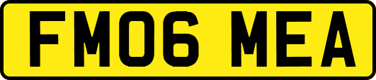 FM06MEA