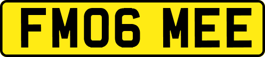 FM06MEE