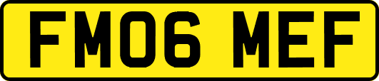 FM06MEF