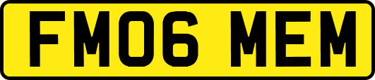 FM06MEM