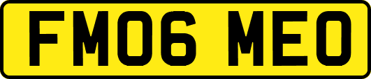 FM06MEO