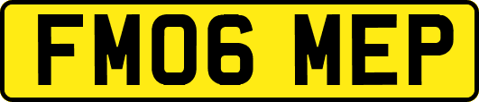 FM06MEP