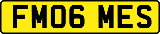 FM06MES