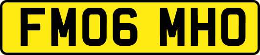 FM06MHO