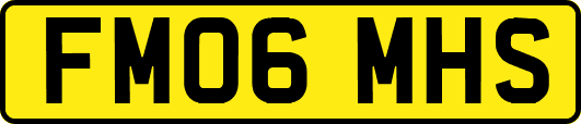 FM06MHS