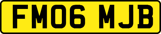 FM06MJB