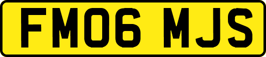 FM06MJS