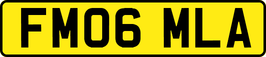 FM06MLA