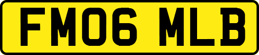FM06MLB