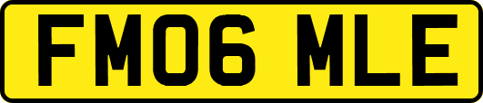 FM06MLE