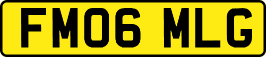 FM06MLG