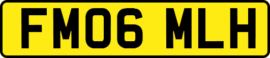 FM06MLH