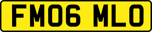 FM06MLO