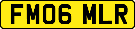 FM06MLR