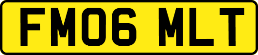 FM06MLT