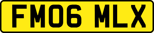 FM06MLX