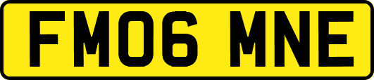FM06MNE