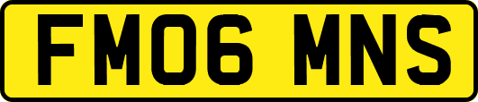FM06MNS