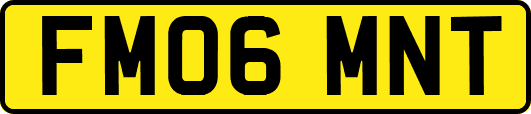 FM06MNT