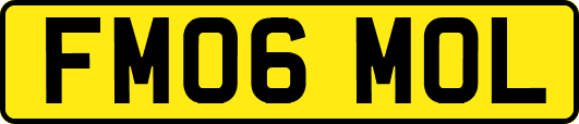 FM06MOL