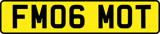 FM06MOT