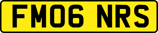 FM06NRS
