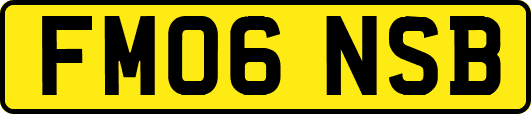 FM06NSB