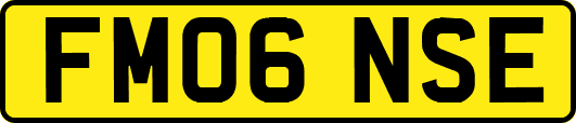FM06NSE