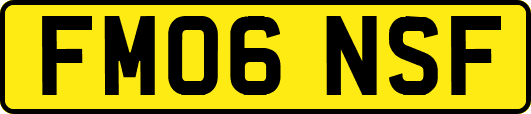 FM06NSF