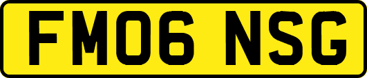 FM06NSG